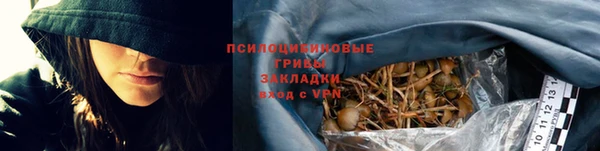 эйфоретик Алексин