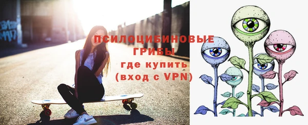 эйфоретик Алексин